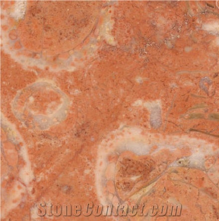 Lioz Encarnado Tile