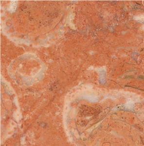 Lioz Encarnado Tile