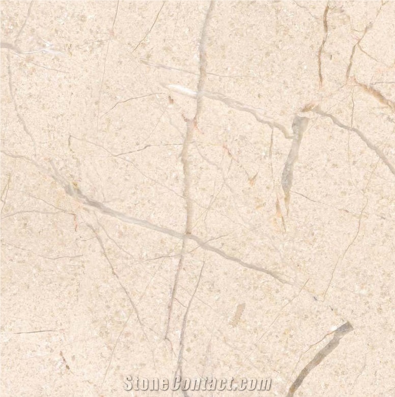 Lotus Cream Marble importance=