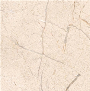 Lotus Cream Marble