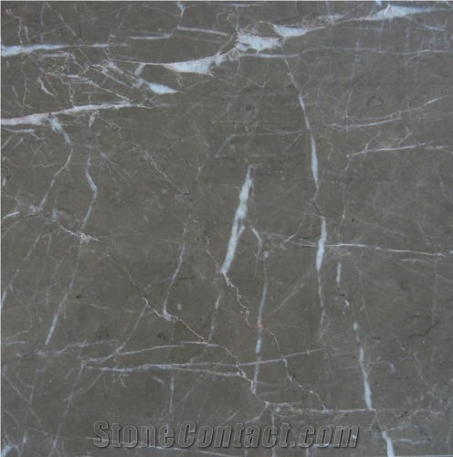 Lucciano Marron importance=