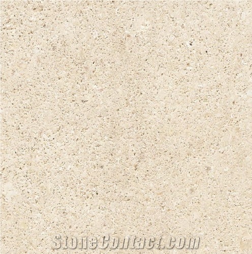 Lumaquela Crema Limestone importance=