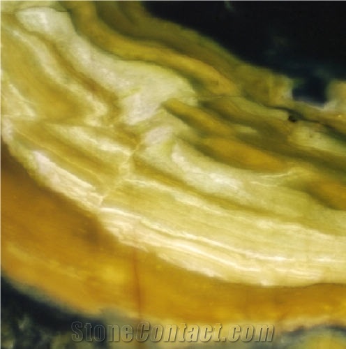 Lumen Onyx importance=