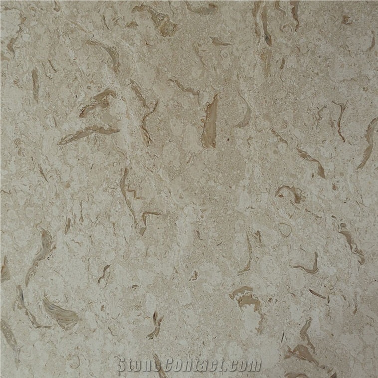 Lyca Beige Royal importance=