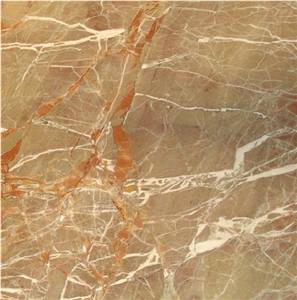 Macchia Vecchia Gialla