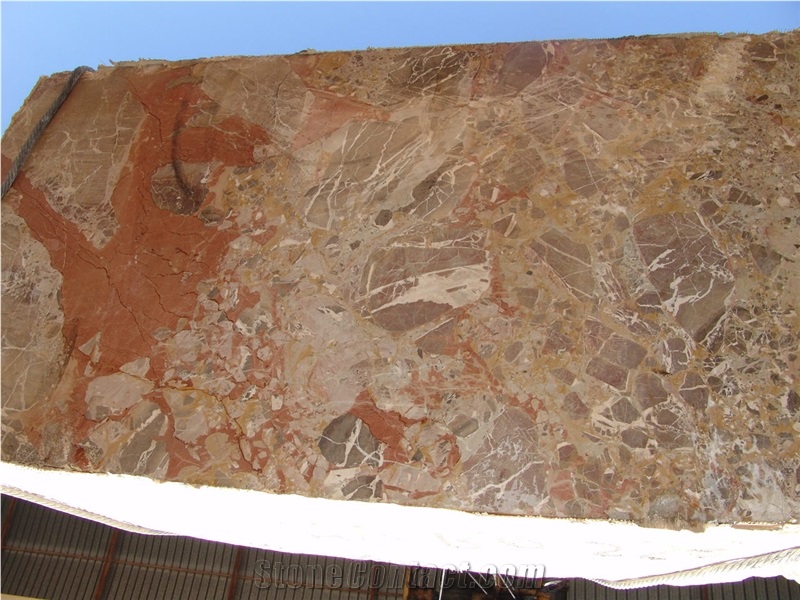 Macchia Vecchia Marble Slab