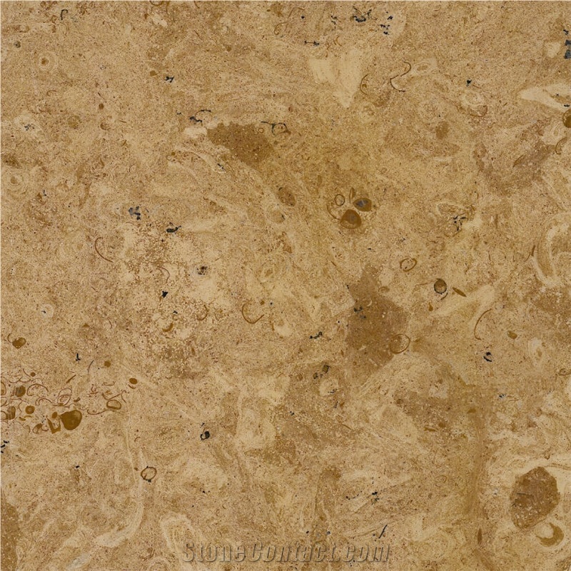 Mango Limestone importance=