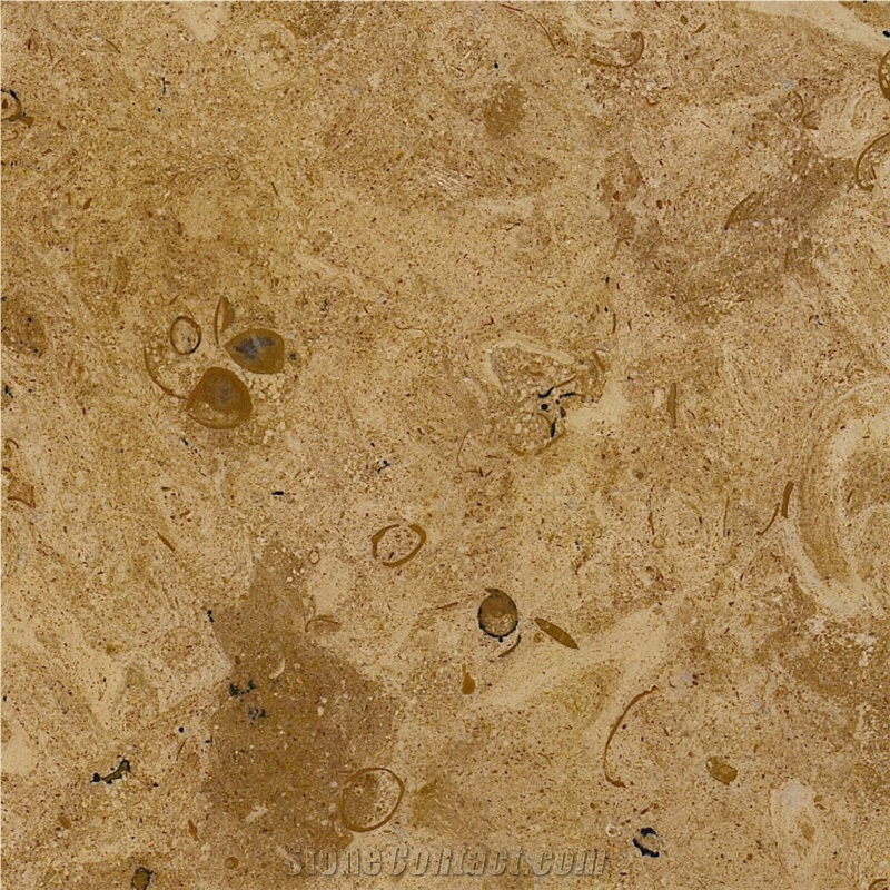 Mango Limestone Tile