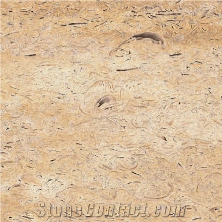 Marcevo Limestone importance=