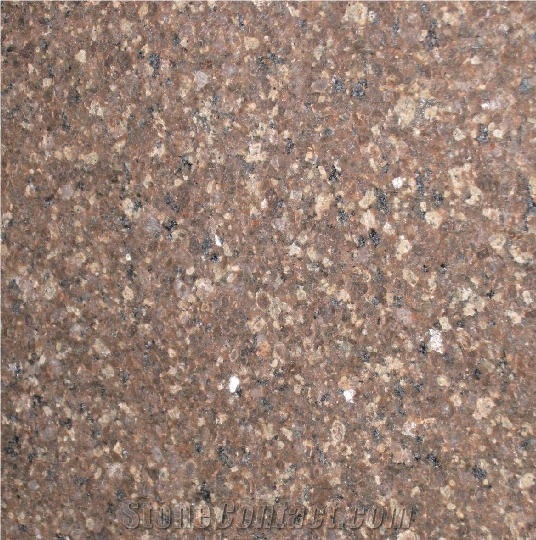 Marron Castor Granite importance=