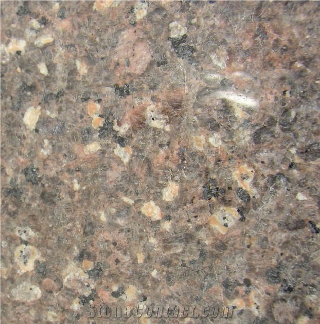 Marron Castor Granite Tile