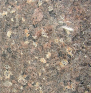 Marron Castor Granite Tile