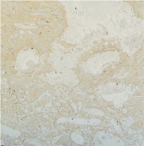 Mexican Coral Stone