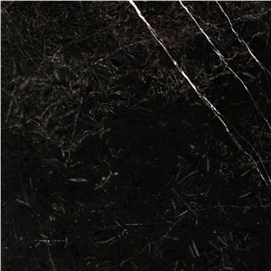 Midnight Black Marble