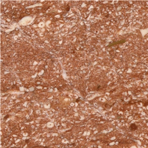 Mittenwald Rot Limestone