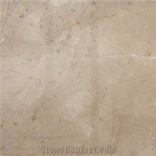 Moca Dark Beige Marble importance=