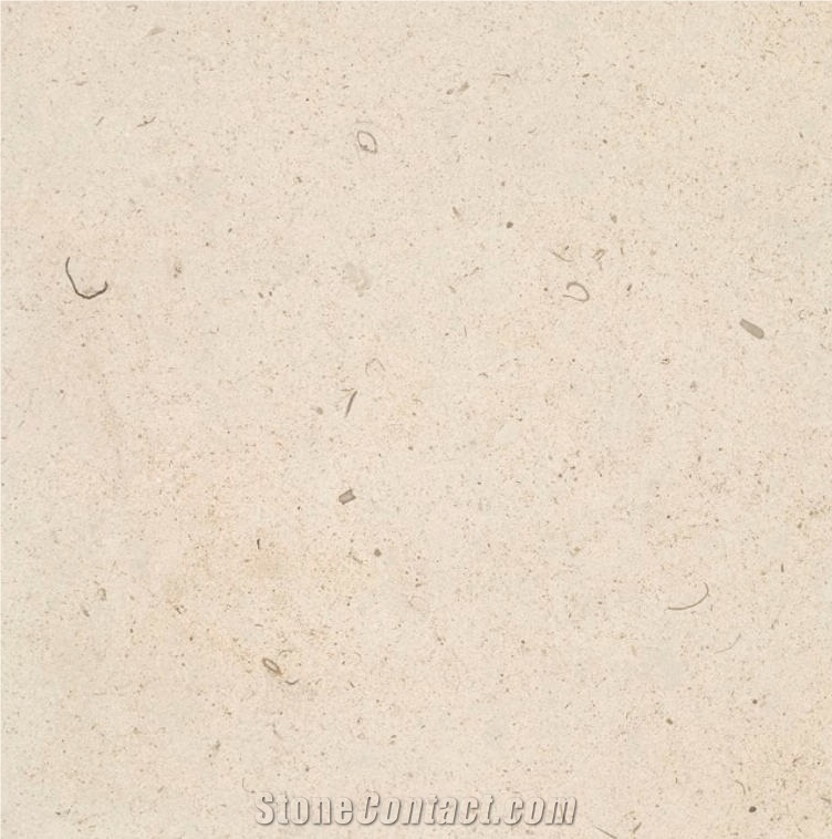 Moleanos White Limestone Tile
