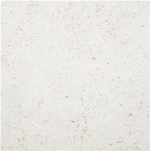 Moleanos White Limestone Tile