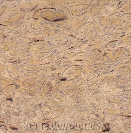 Monastir Limestone importance=