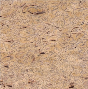Monastir Limestone