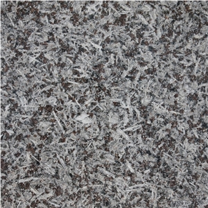 Monchique St. Louis Granite Tile