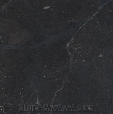 Moneasa Negru Limestone importance=
