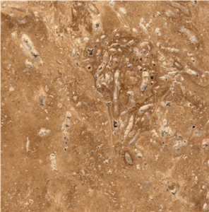 Montagna Walnut Travertine