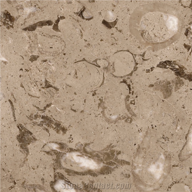 Monte Bello Marble Tile