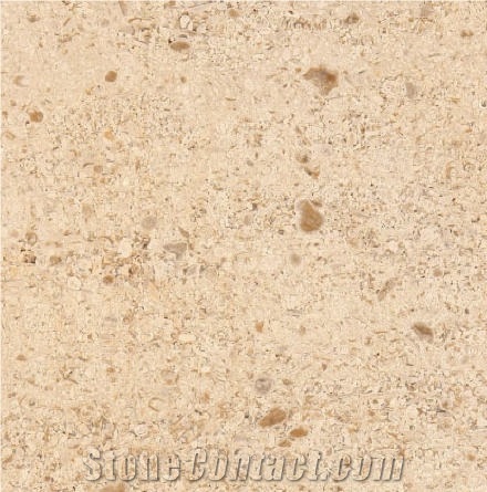 Montmoyen Limestone importance=