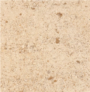 Montmoyen Limestone