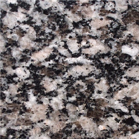 Moonlight Grey Granite importance=