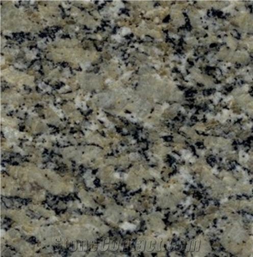 Moss Green China importance=