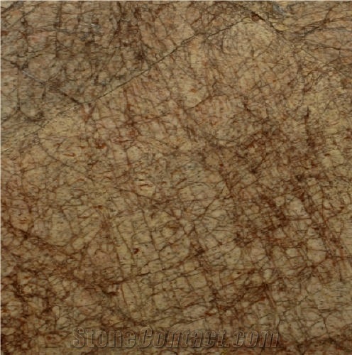 Mountain Rose importance=