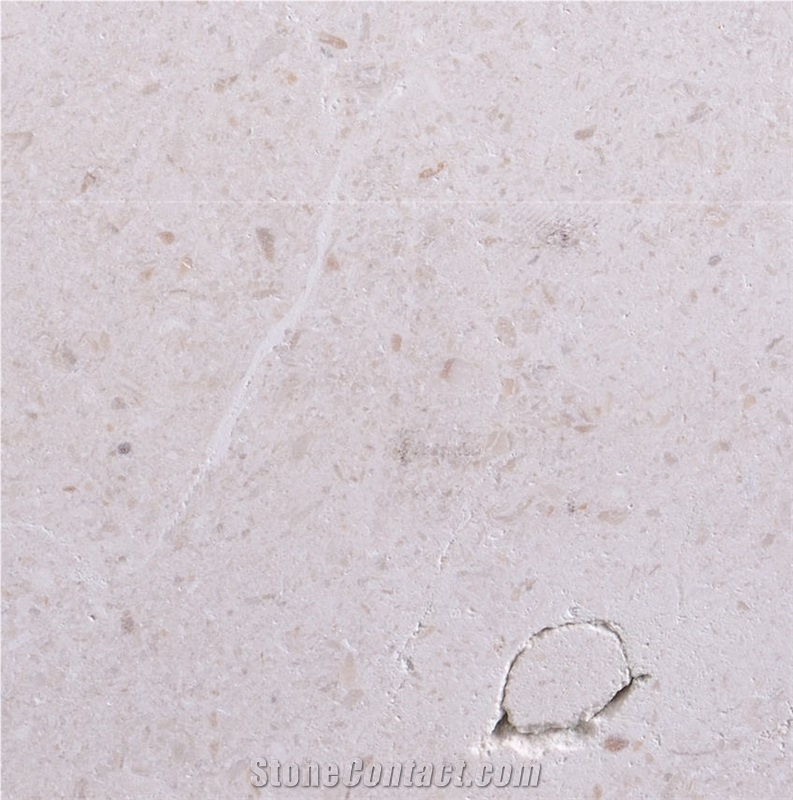 Nabresina Limestone importance=
