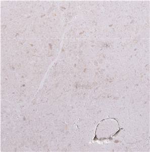 Nabresina Limestone