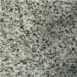 Nagina Green Granite