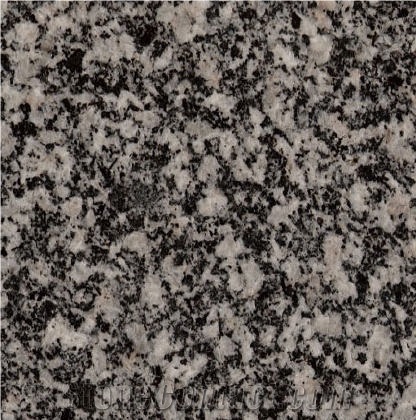 Negro Batalla Tile