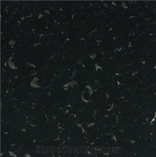 Negro Caracol Marble importance=