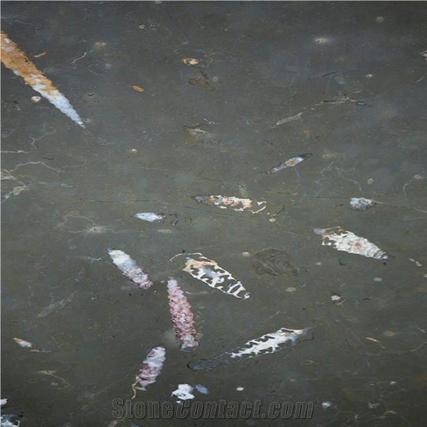 Nerinea Marble importance=