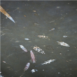 Nerinea Marble