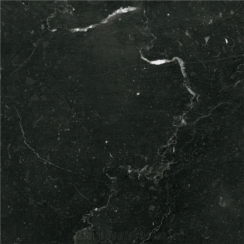Nero Marquina Marble Tile