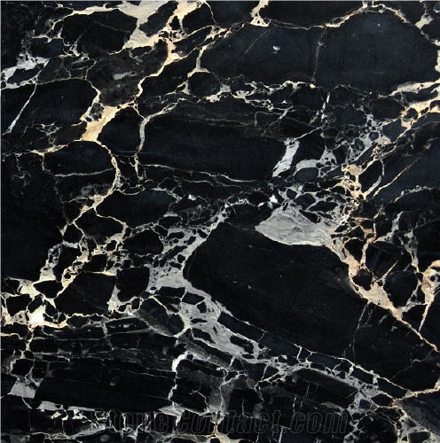 Nero Portoro Bianco Marble importance=