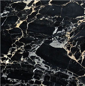 Nero Portoro Bianco Marble
