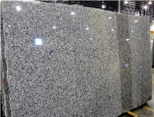 New Caledonia Granite Slab