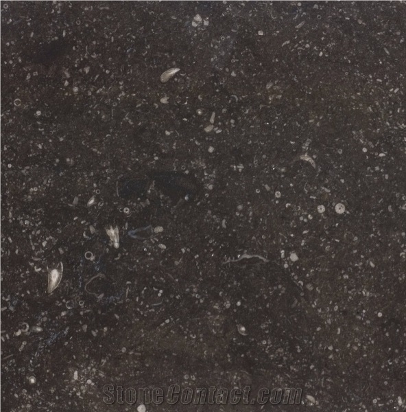Noir de Mazy Limestone importance=