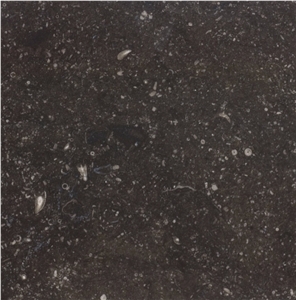 Noir de Mazy Limestone