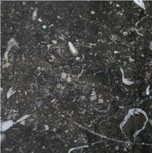 Noir de Mazy Limestone Tile