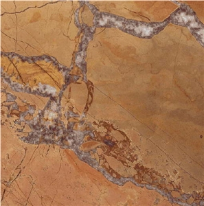 Noisette Fleury Tile
