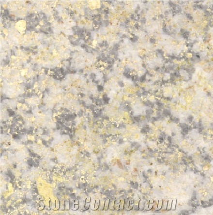 Nonidas Marble importance=