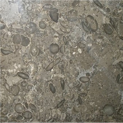 Oceanic Grey Marble Tile
